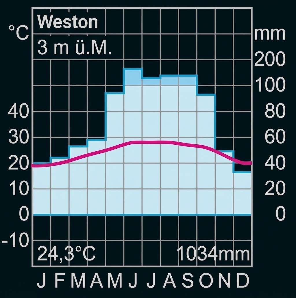 Klimadiagramm für Weston, 3 m ü.M. Die rote Temperaturkurve zeigt milde Winter (um 19°C) und warme Sommer (um 27°C). Die blauen Balken zeigen eine Regenzeit von Mai bis Oktober (bis ca. 130 mm) und eine Trockenzeit im Winter (ca. 40 mm). Jahresdurchschnitt: 24,3°C. Jahresgesamtniederschlag: 1034 mm.